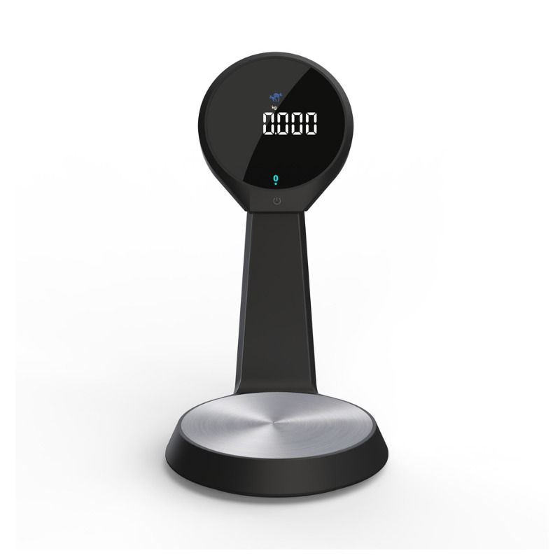 Hochpräzise Digitale Küchenwaa – Kitchen Scale Precise Bewertung und Preis